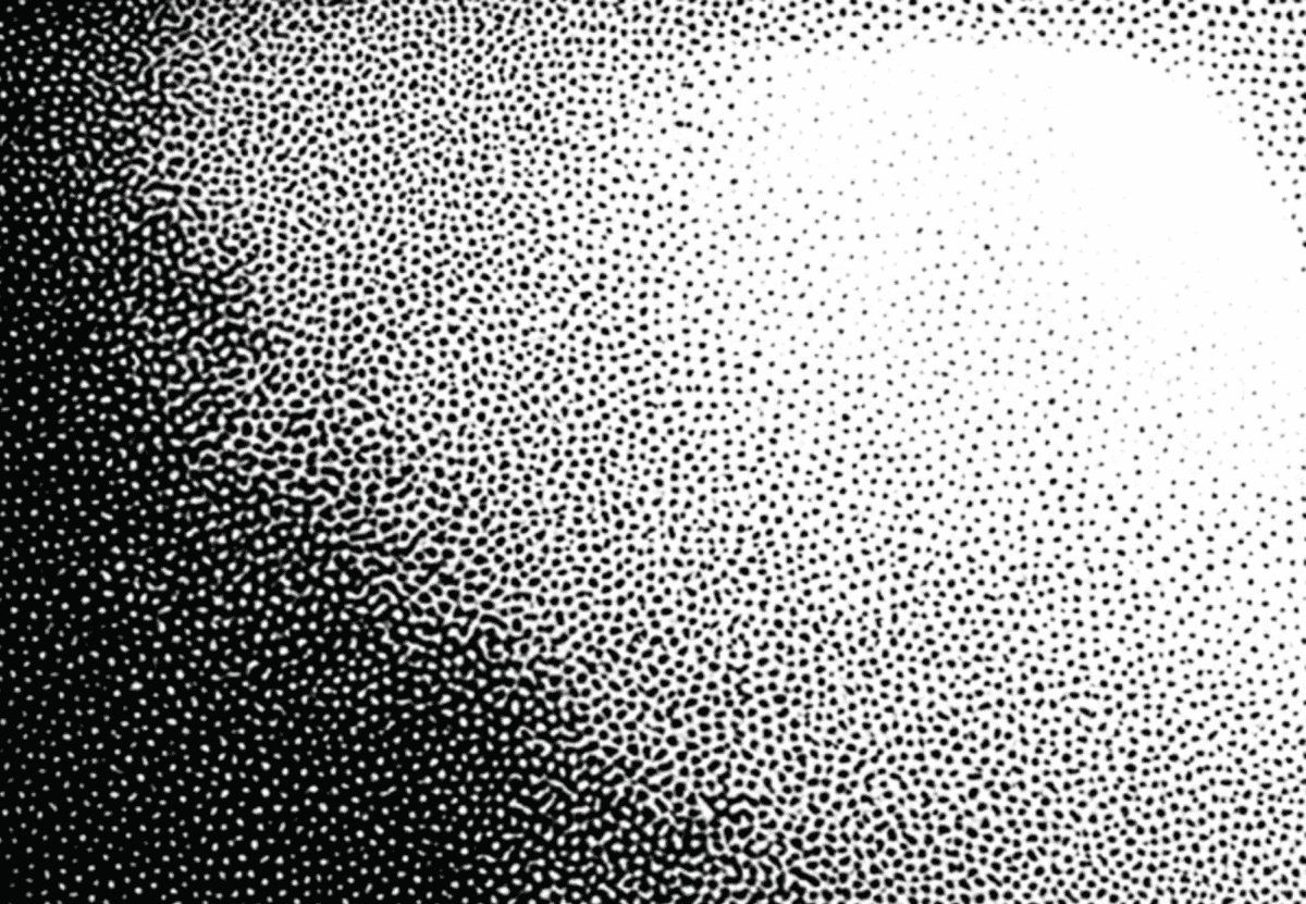 Grand Champion Background